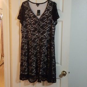 Black lace and creme knee length Torrid dress